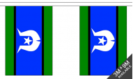 Torres Strait Islands Bunting